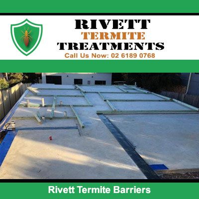 Termite barrier installation around concrete foundation perimeter for pest protection in Rivett