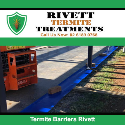 Termite barrier system installed along building foundation with protective sheeting in Rivett