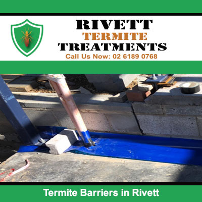 Professional installation of blue termite barrier protection along foundation edge in Rivett