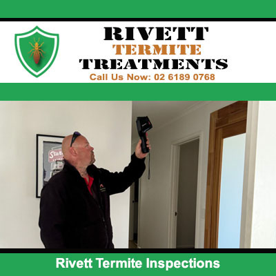 Inspector examining door frame and wall for termite inspections in Rivett
