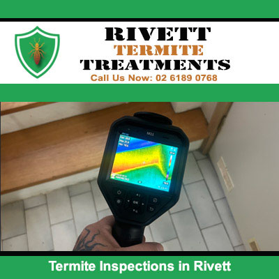 Thermal imaging camera detecting termite activity behind wall during termite inspections in Rivett