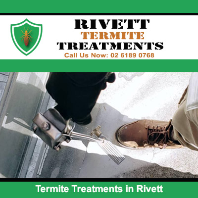 Pest control technician drilling into concrete surface for termite treatments application in Rivett